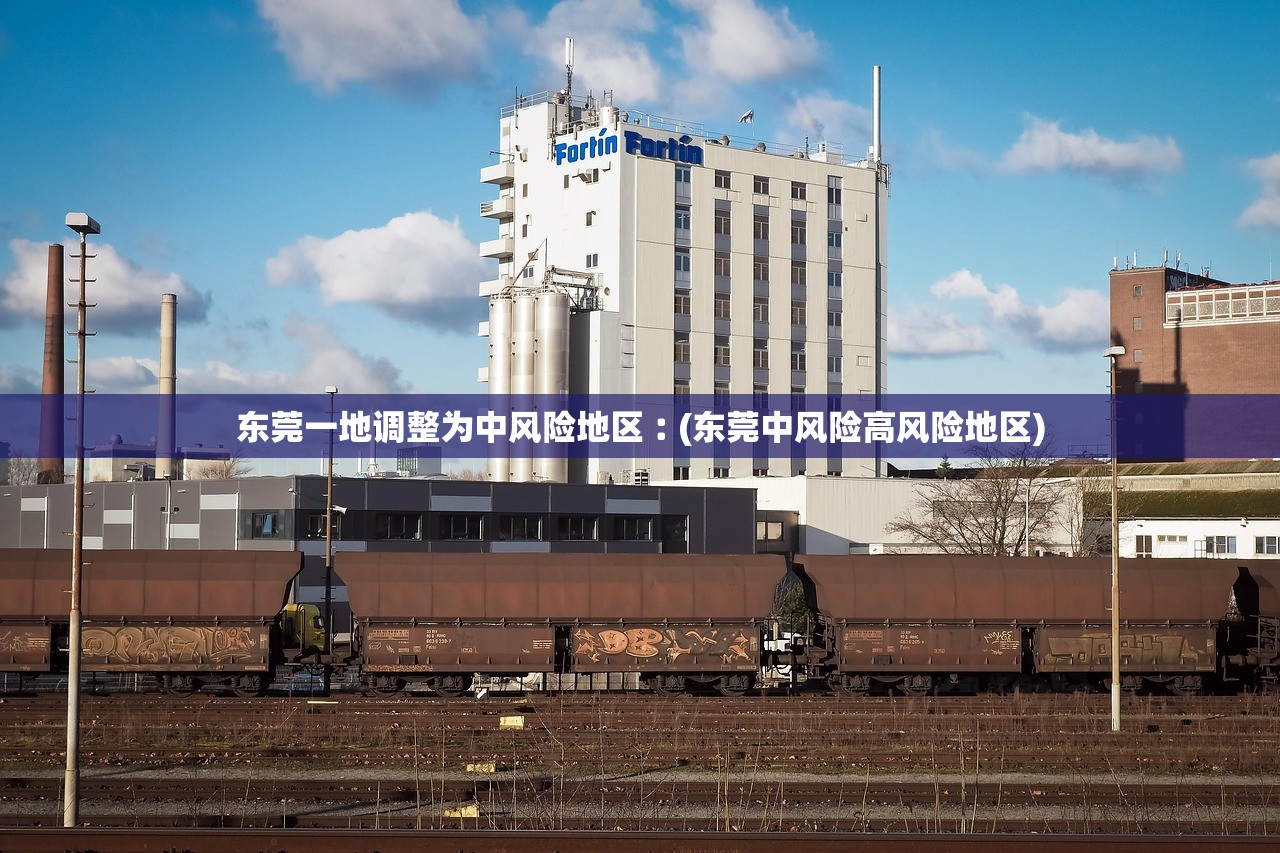 东莞一地调整为中风险地区︰(东莞中风险高风险地区)