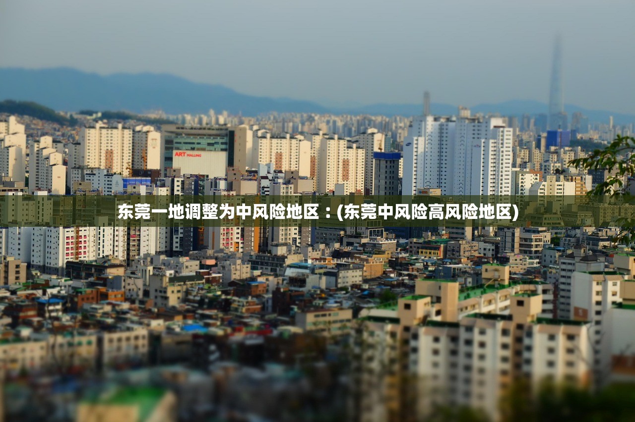 东莞一地调整为中风险地区︰(东莞中风险高风险地区)
