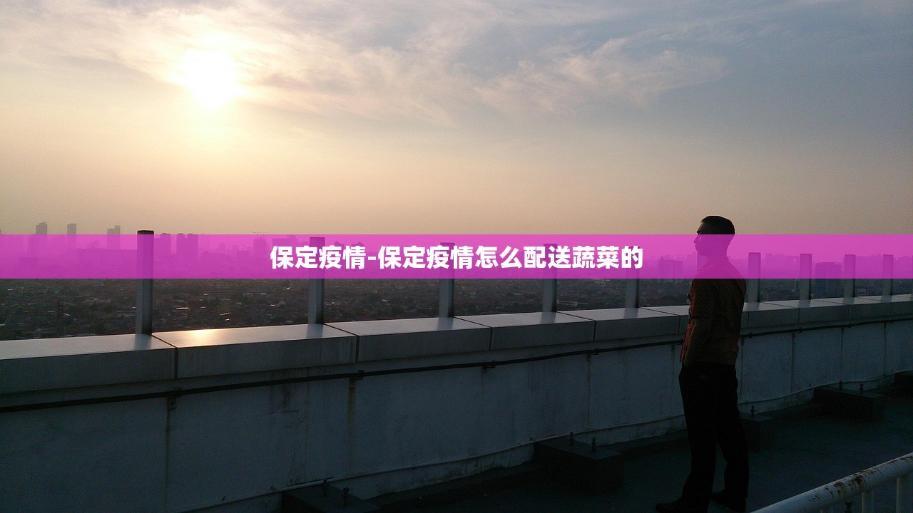 保定疫情-保定疫情怎么配送蔬菜的