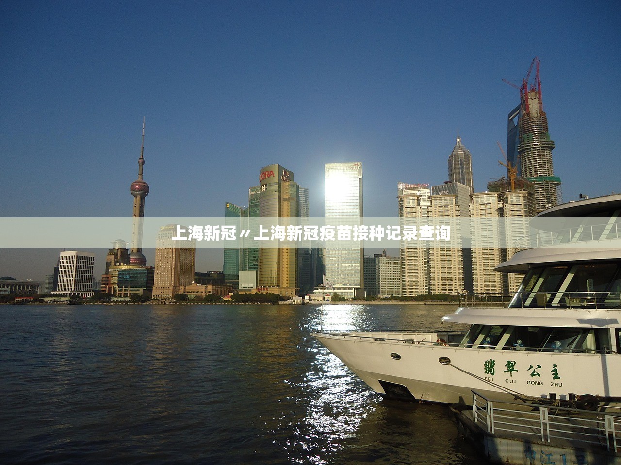 上海新冠〃上海新冠疫苗接种记录查询