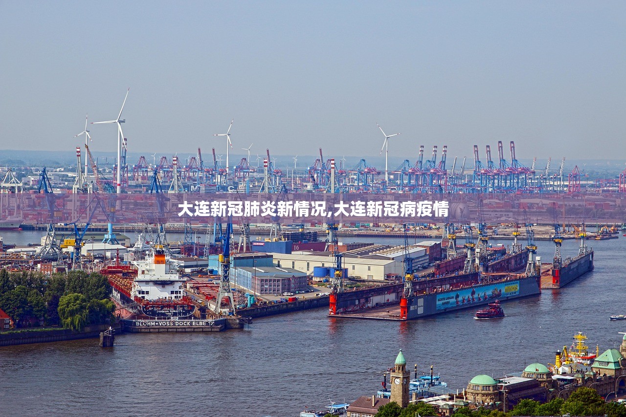 大连新冠肺炎新情况,大连新冠病疫情