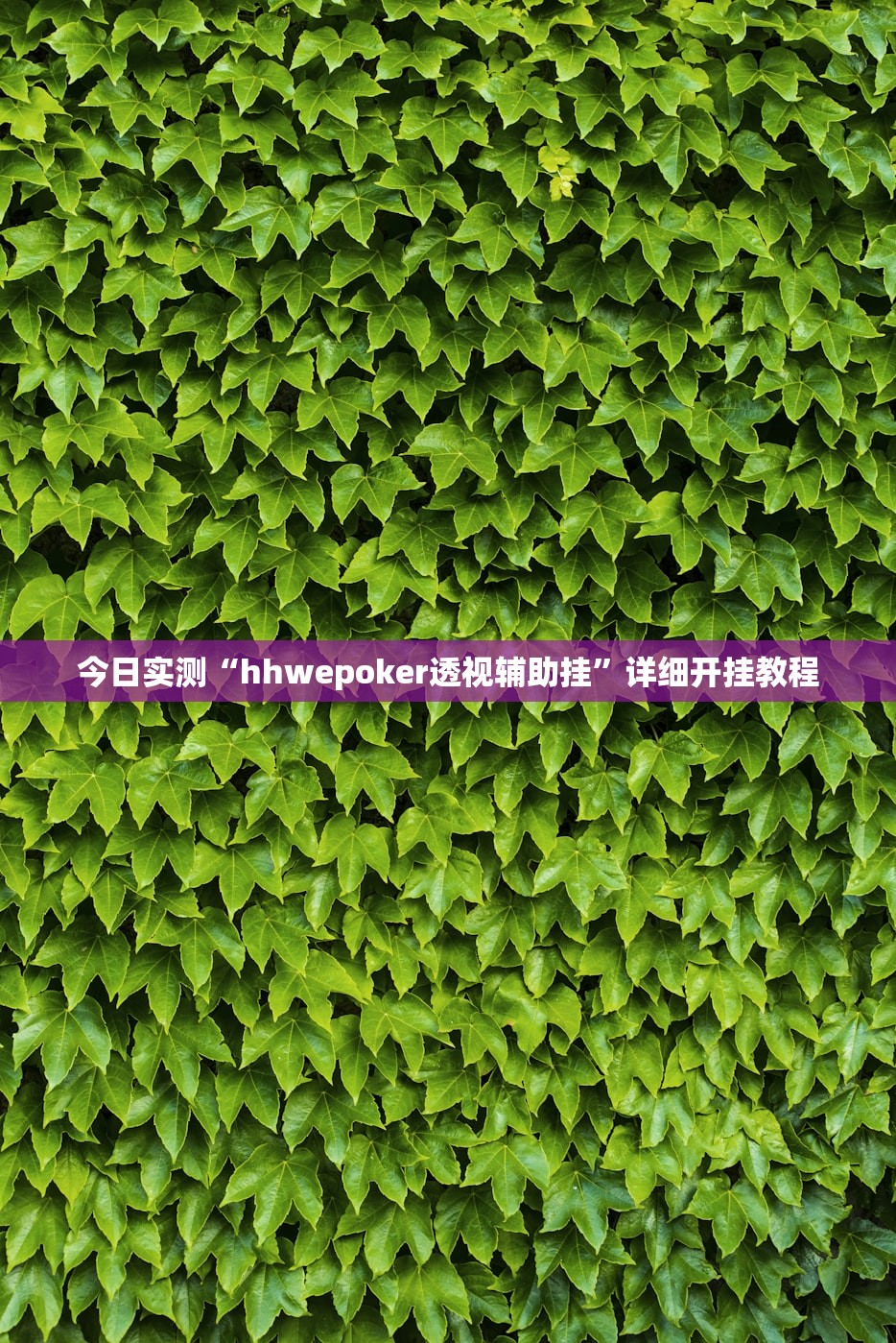 今日实测“hhwepoker透视辅助挂	”详细开挂教程