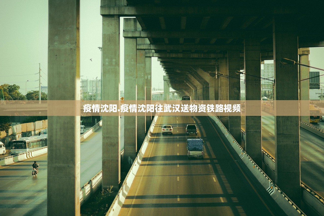 疫情沈阳.疫情沈阳往武汉送物资铁路视频 疫情沈阳.疫情沈阳往武汉送物资铁路视频