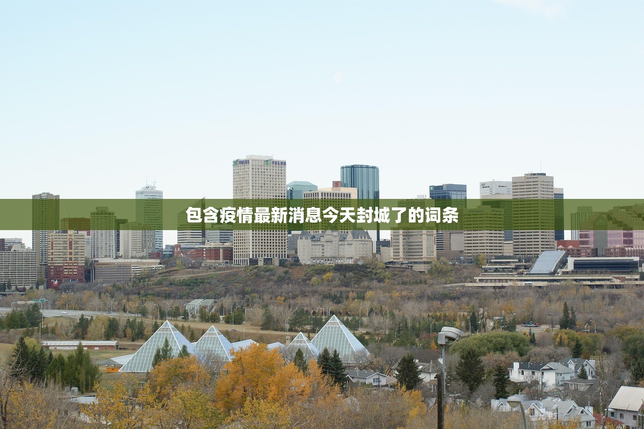 包含疫情最新消息今天封城了的词条