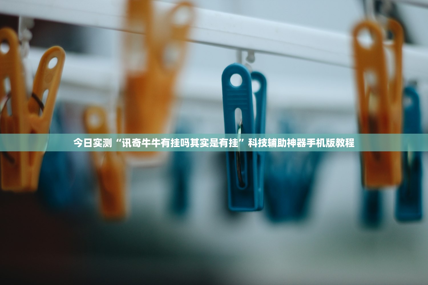 实测辅助“卡农牛牛真的有挂吗	”2026透视开挂