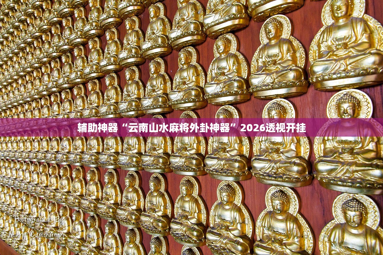 辅助神器“云南山水麻将外卦神器”2026透视开挂
