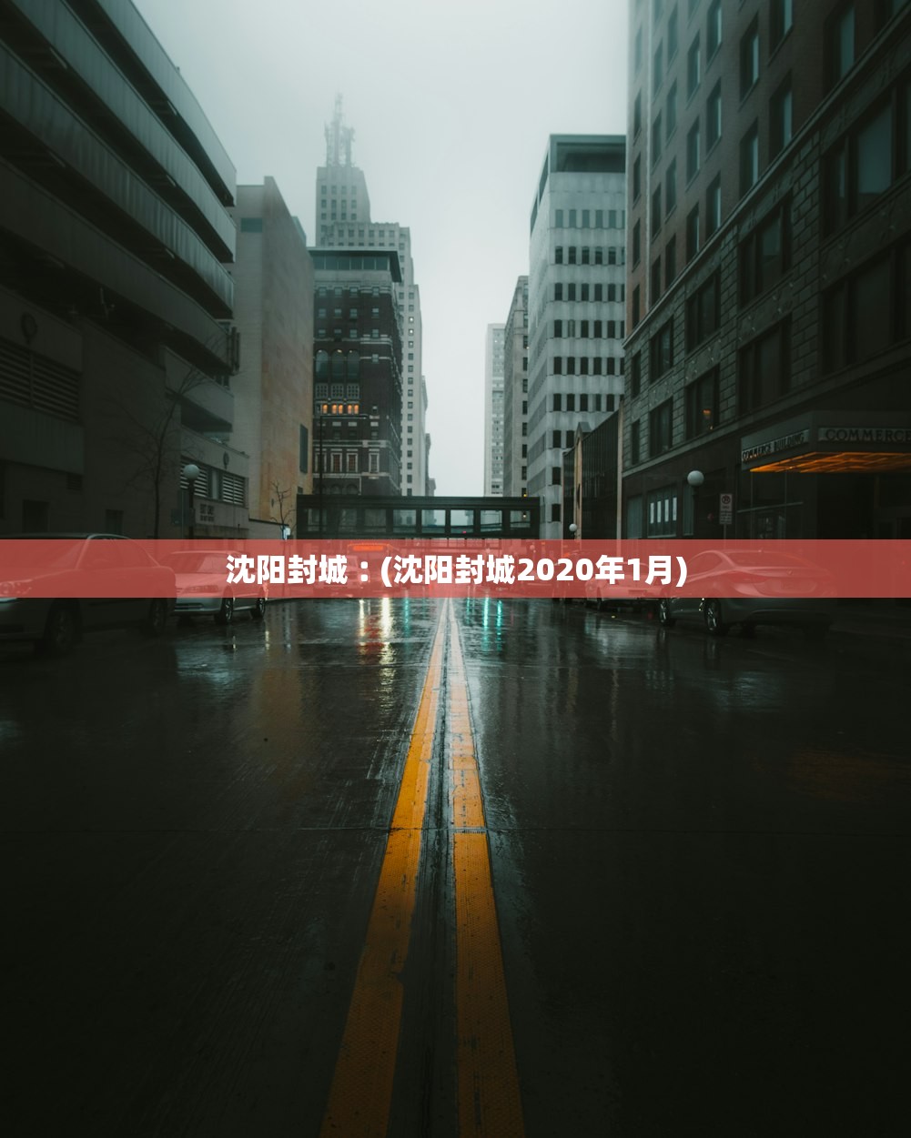 沈阳封城︰(沈阳封城2020年1月) 沈阳封城︰(沈阳封城2020年1月)
