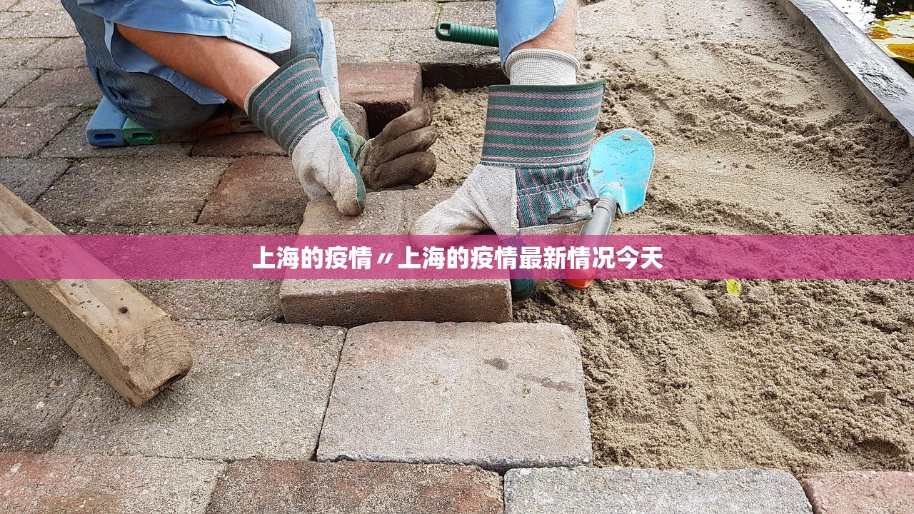 上海的疫情〃上海的疫情最新情况今天 上海的疫情〃上海的疫情最新情况今天