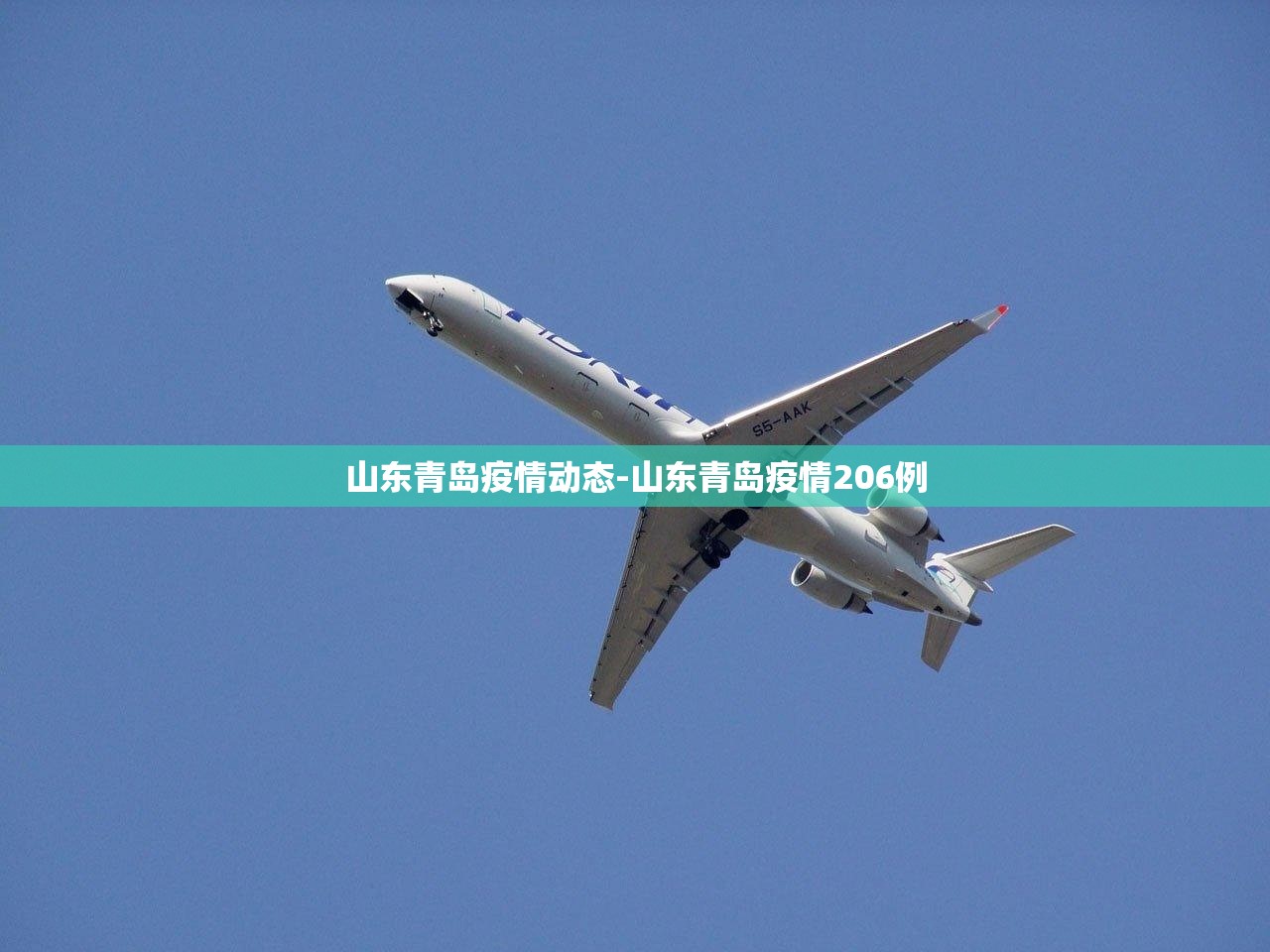 山东青岛疫情动态-山东青岛疫情206例