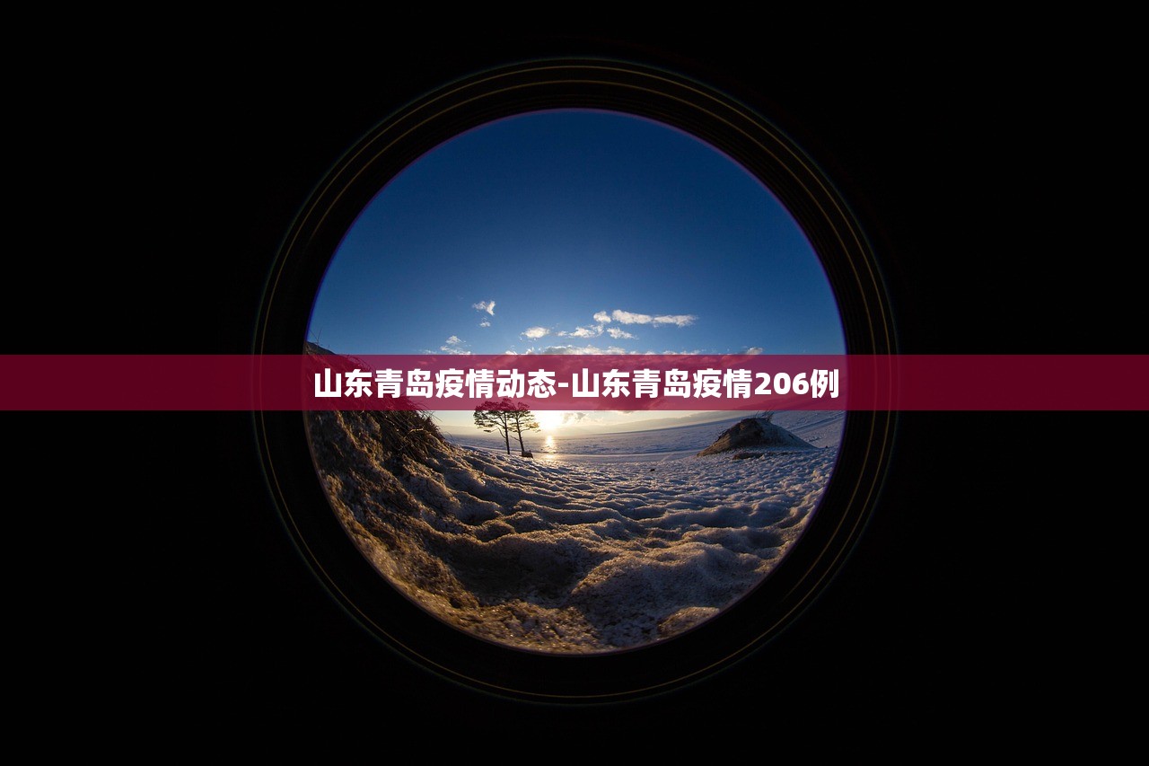 山东青岛疫情动态-山东青岛疫情206例