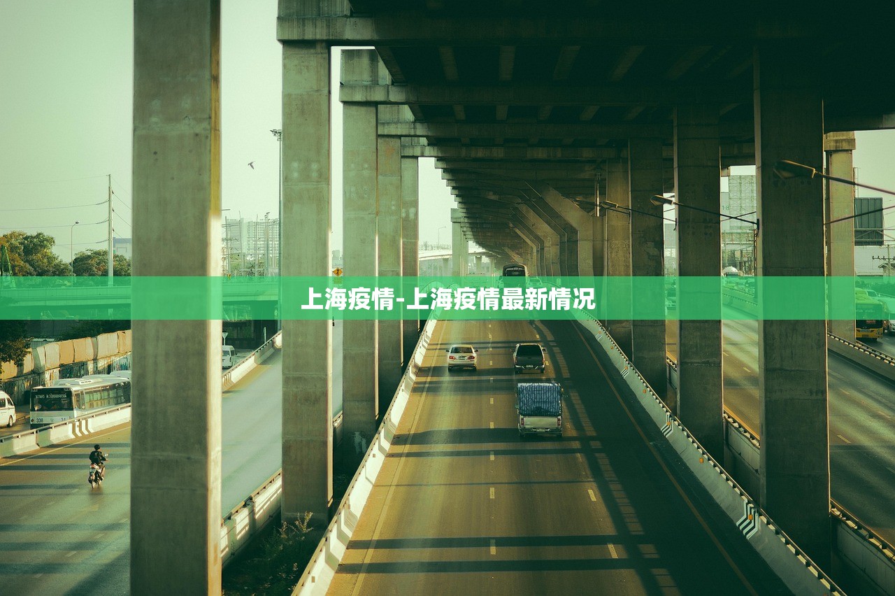 上海疫情-上海疫情最新情况 上海疫情-上海疫情最新情况