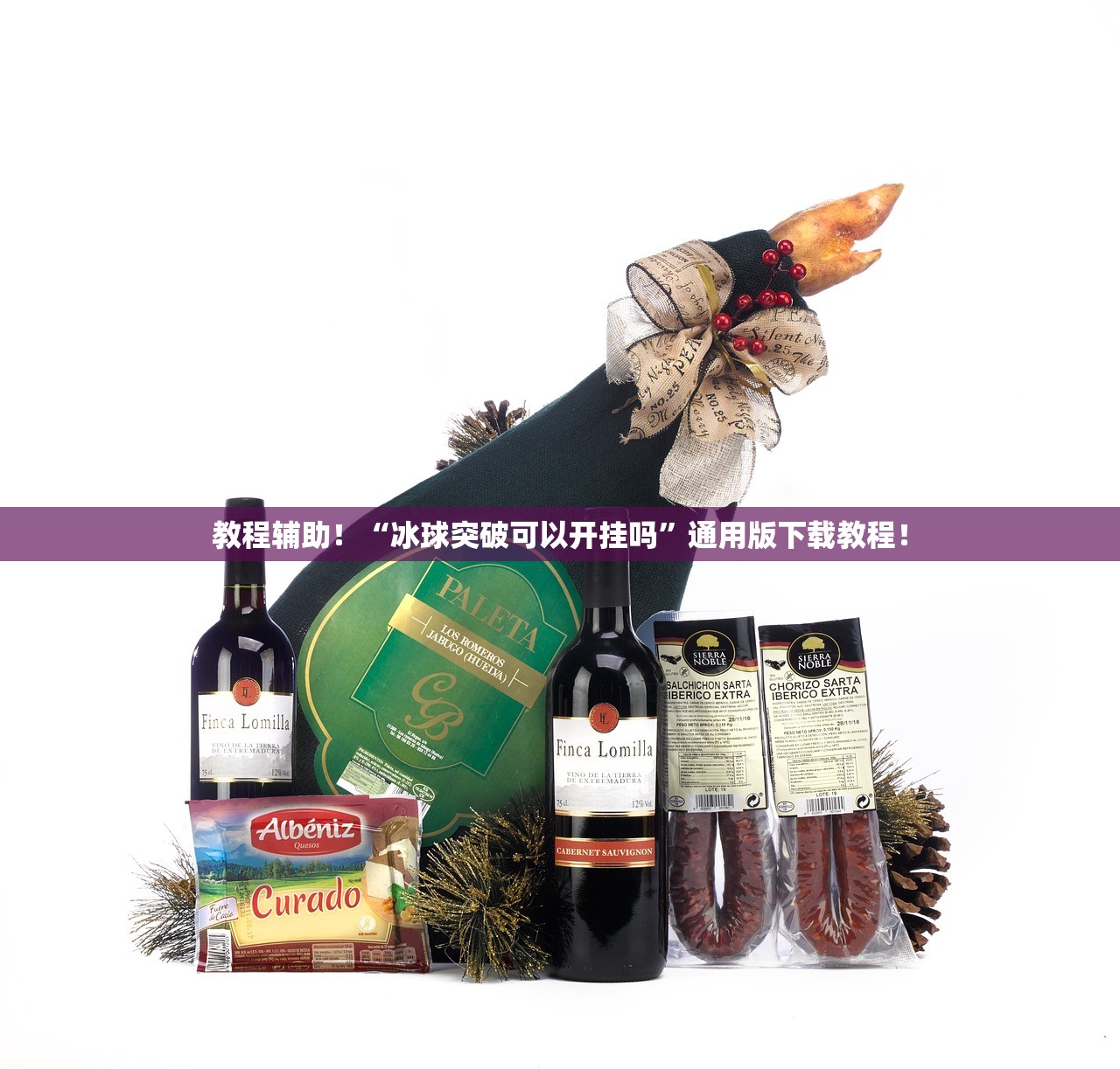 教程辅助！“冰球突破可以开挂吗”通用版下载教程！