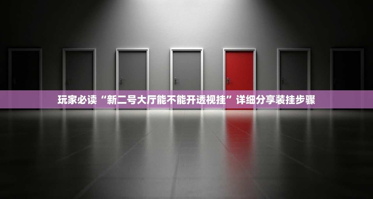 玩家必读“新二号大厅能不能开透视挂”详细分享装挂步骤