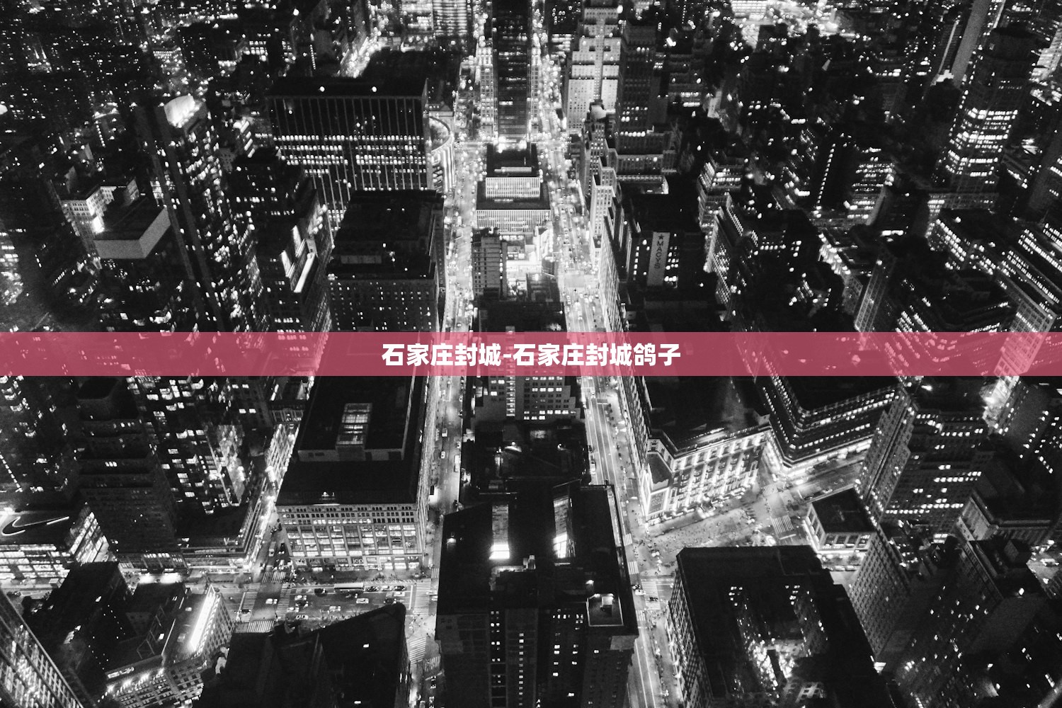 石家庄封城-石家庄封城鸽子 石家庄封城-石家庄封城鸽子