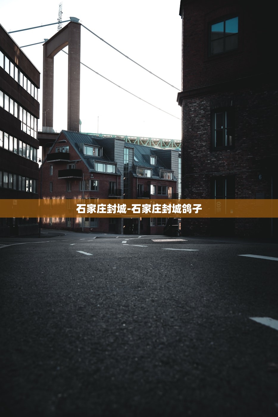 石家庄封城-石家庄封城鸽子 石家庄封城-石家庄封城鸽子