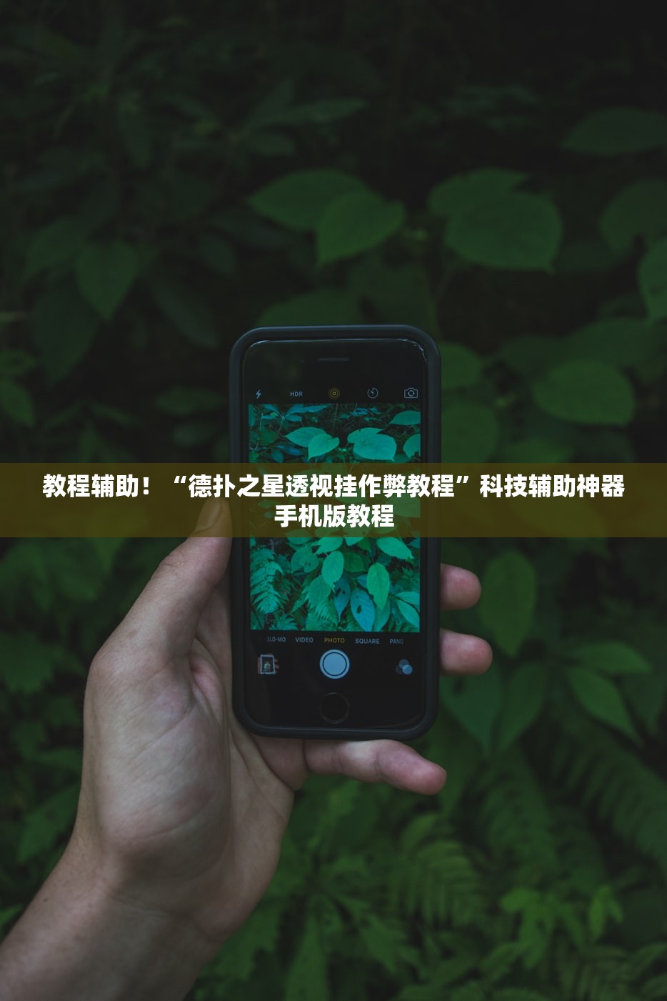 教程辅助！“德扑之星透视挂作弊教程	”科技辅助神器手机版教程