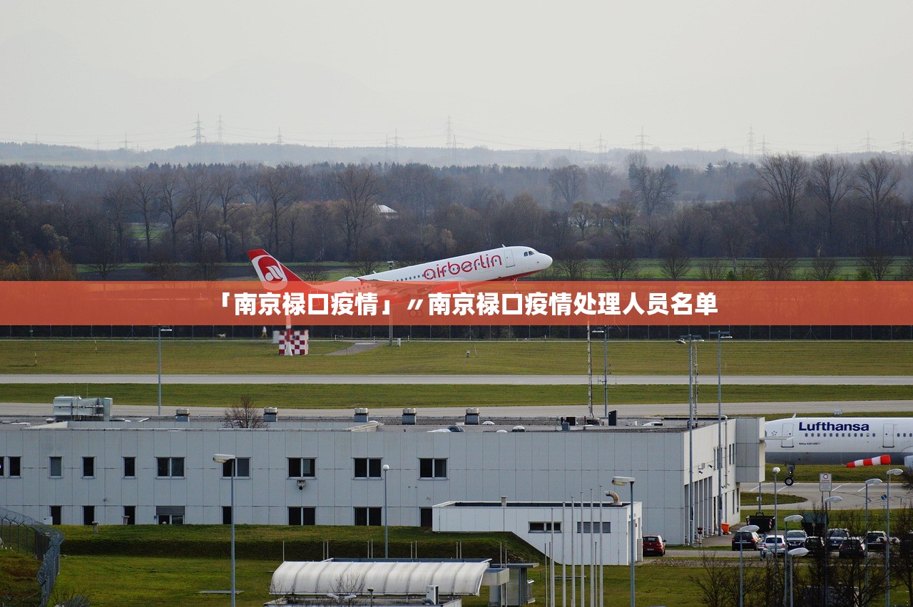 「南京禄口疫情」〃南京禄口疫情处理人员名单