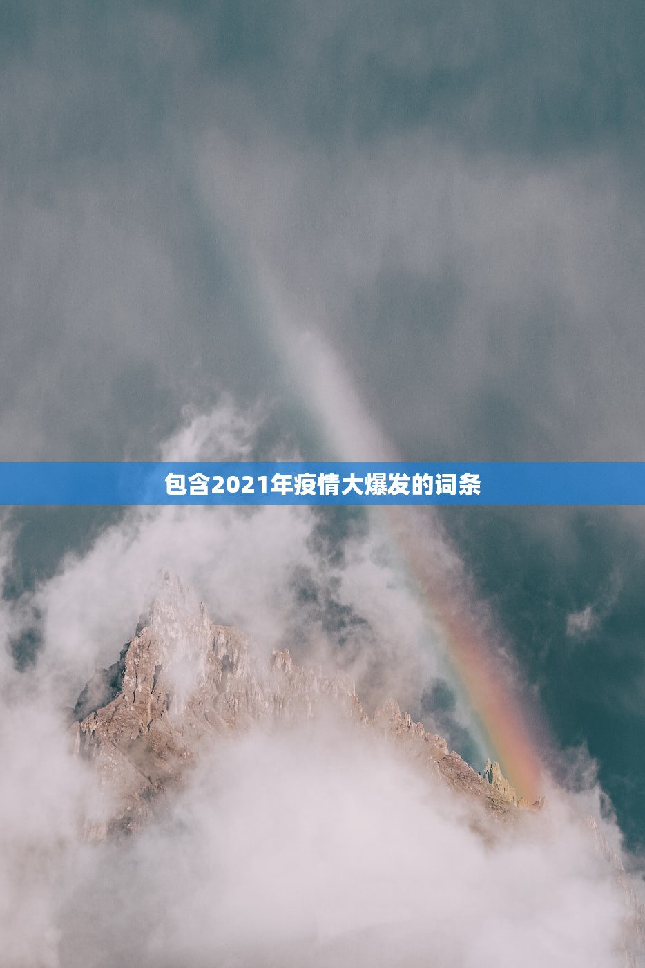 包含2021年疫情大爆发的词条