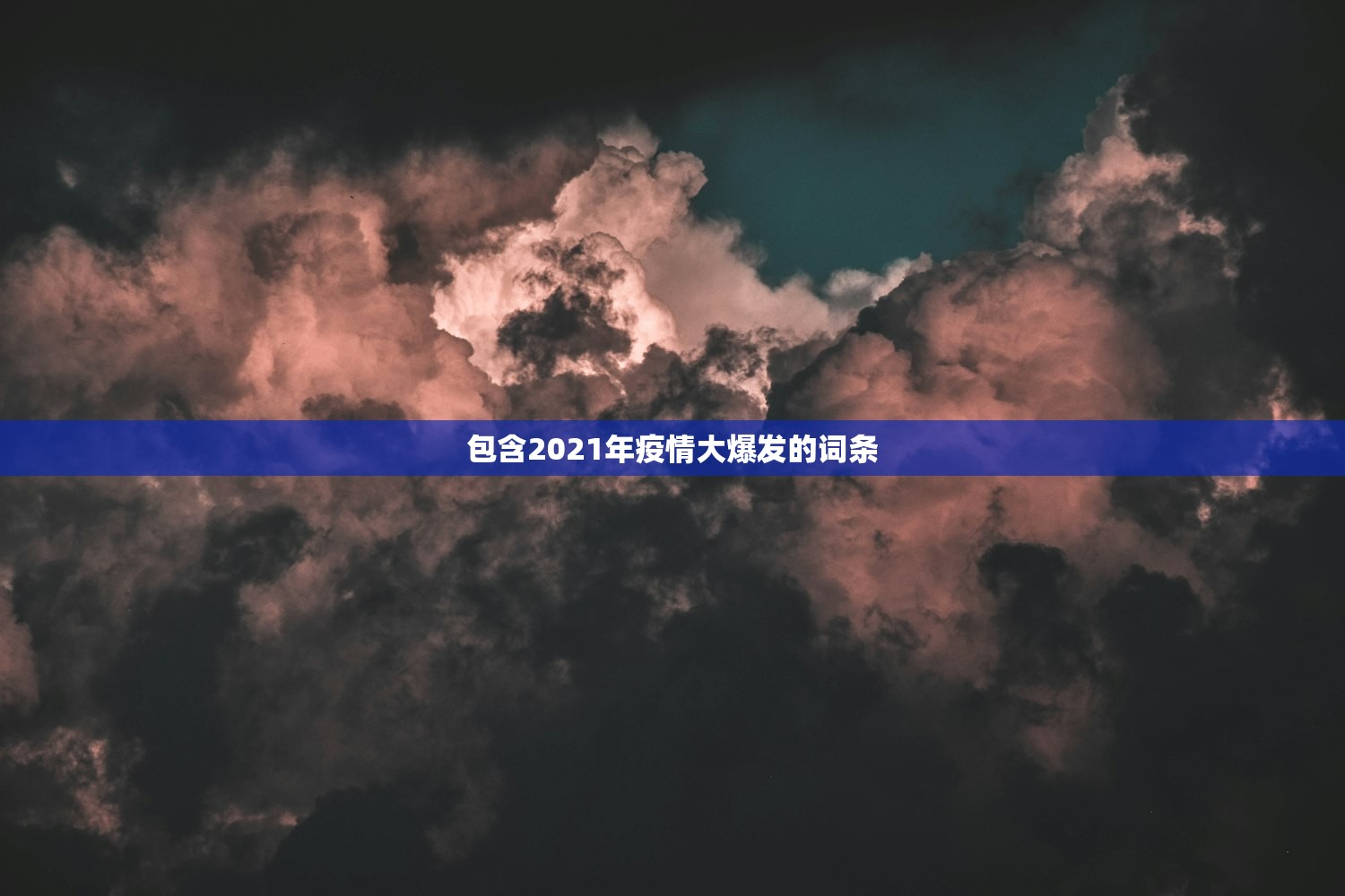 包含2021年疫情大爆发的词条