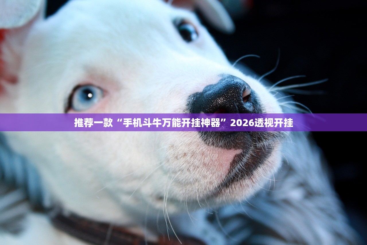 推荐一款“手机斗牛万能开挂神器”2026透视开挂