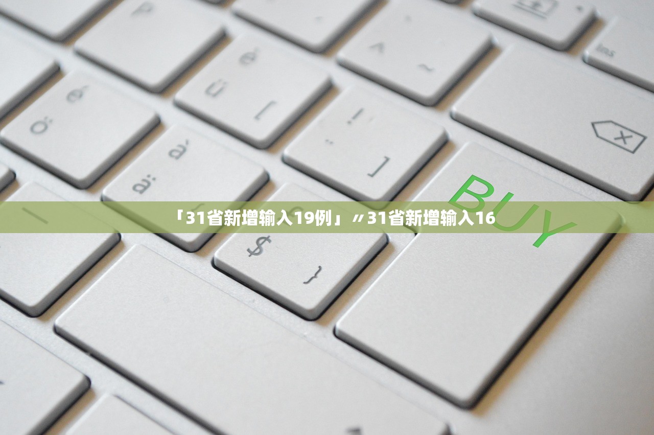 「31省新增输入19例」〃31省新增输入16