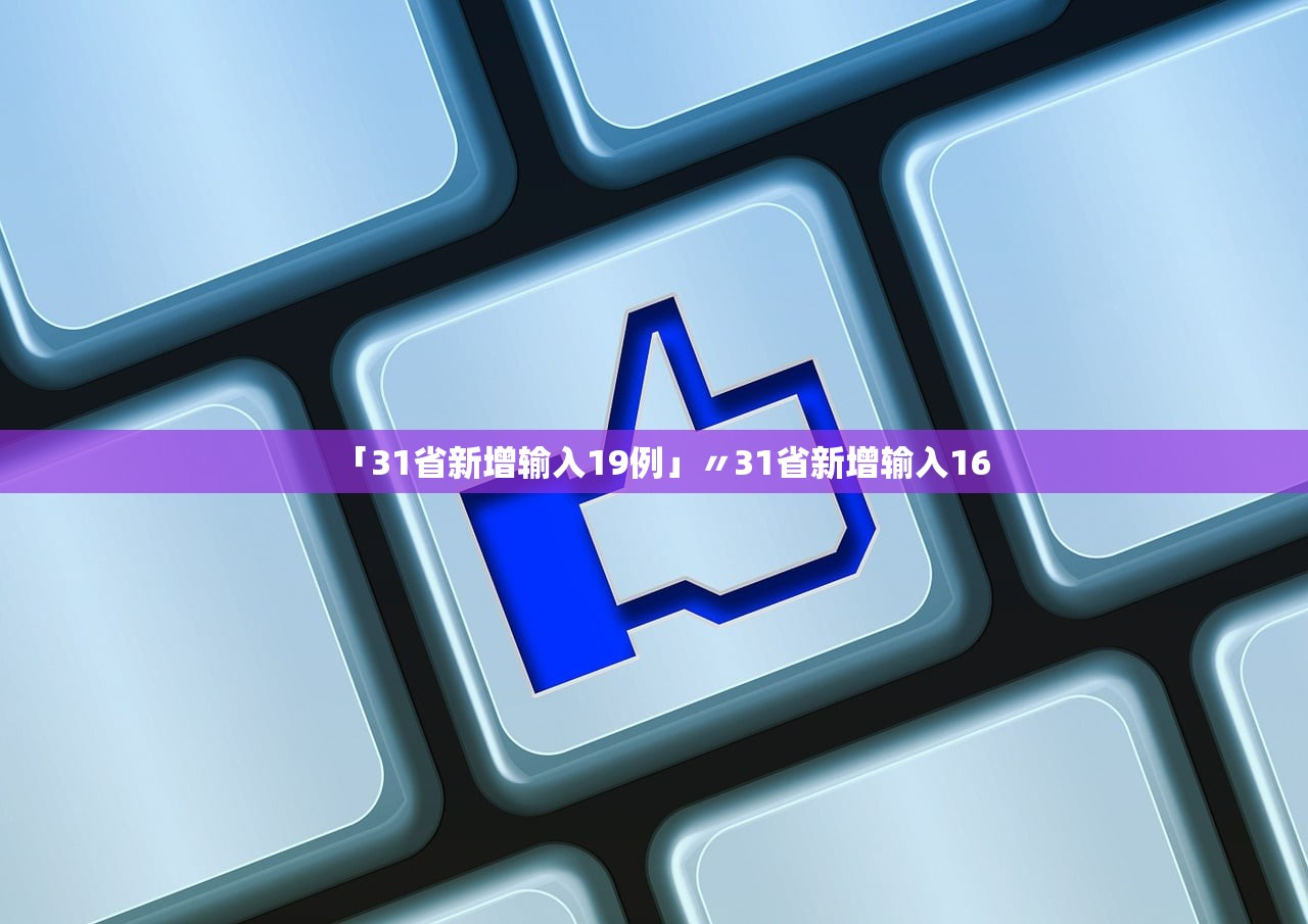「31省新增输入19例」〃31省新增输入16