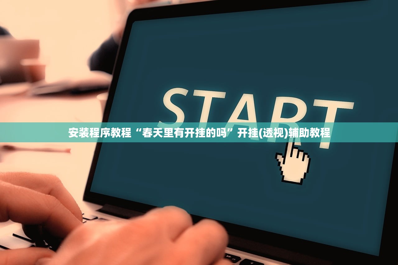安装程序教程“春天里有开挂的吗”开挂(透视)辅助教程
