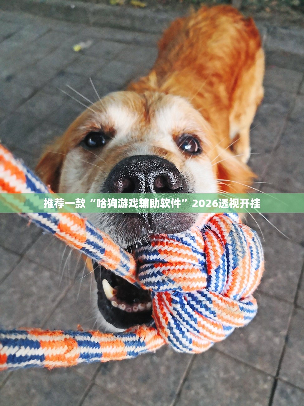 “辽宁省疫情最新消息今天” 辽宁省疫情的最新消息？