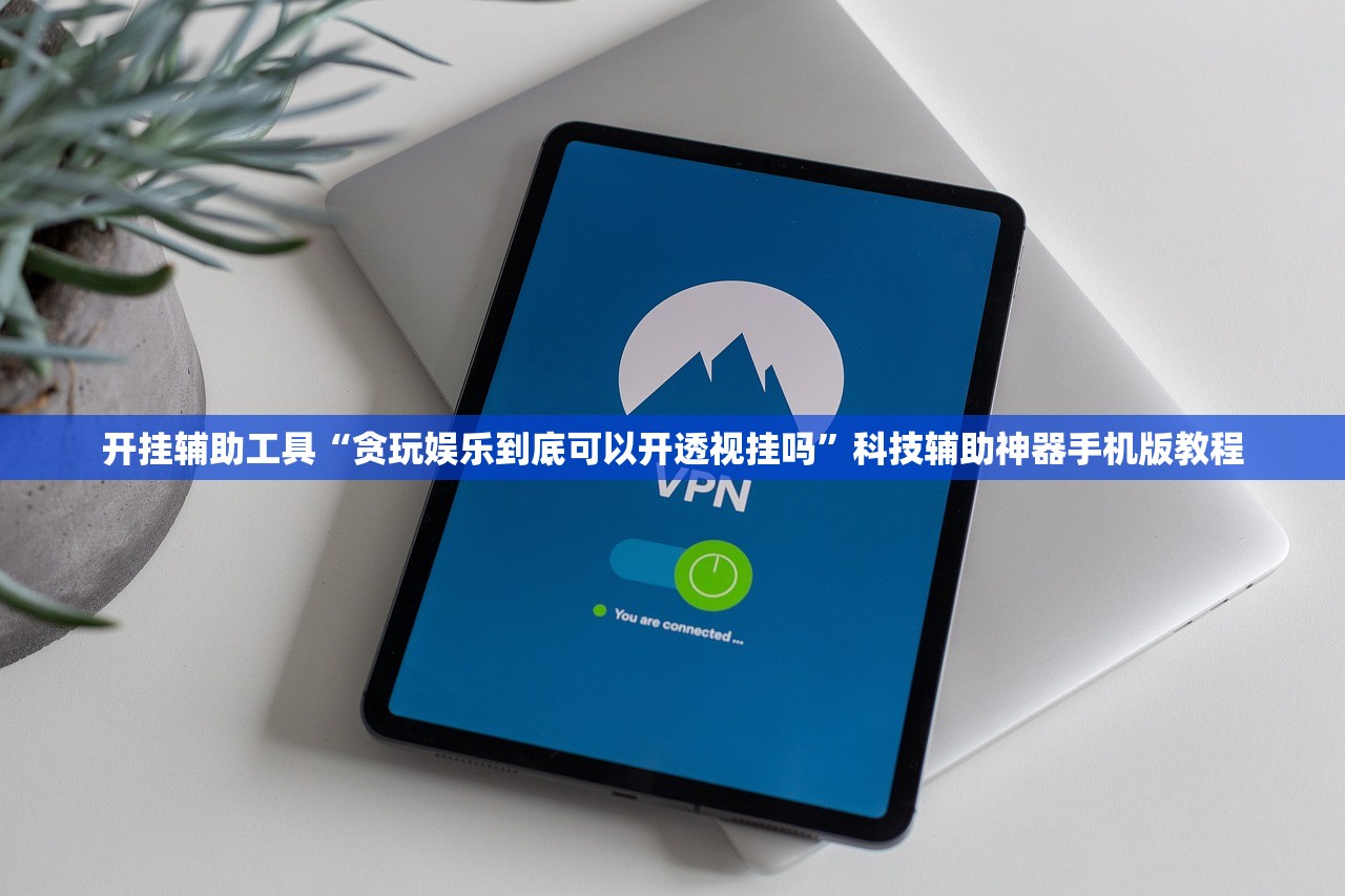 开挂辅助工具“贪玩娱乐到底可以开透视挂吗”科技辅助神器手机版教程