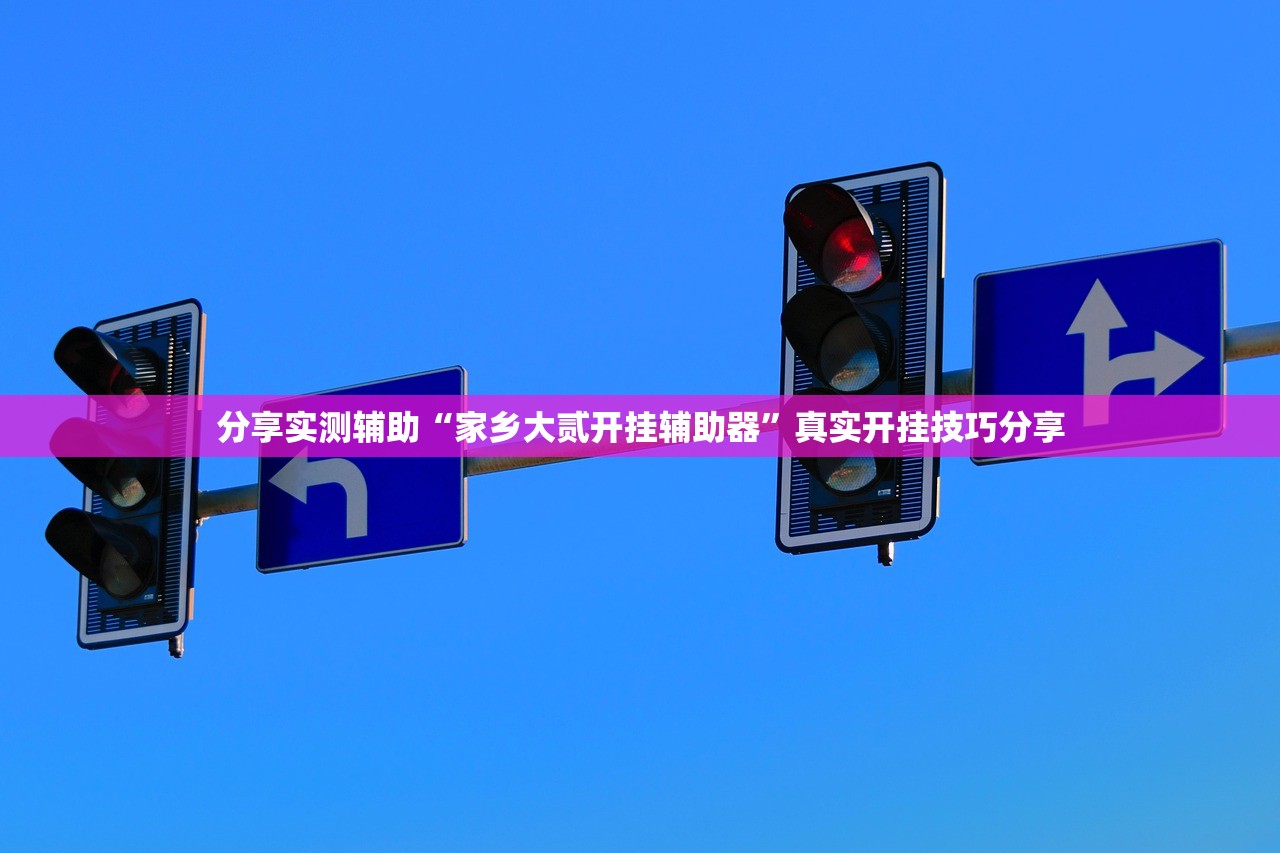 分享实测辅助“家乡大贰开挂辅助器”真实开挂技巧分享