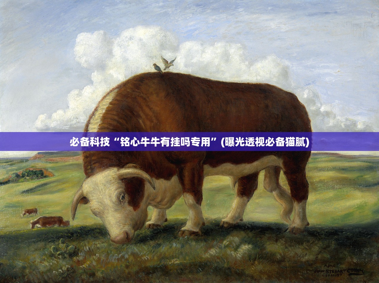 必备科技“铭心牛牛有挂吗专用”(曝光透视必备猫腻)