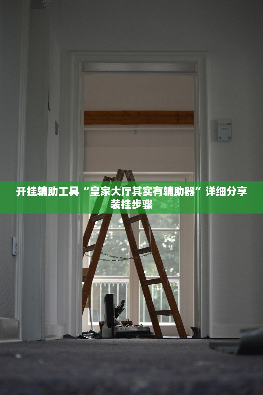 开挂辅助工具“皇家大厅其实有辅助器	”详细分享装挂步骤