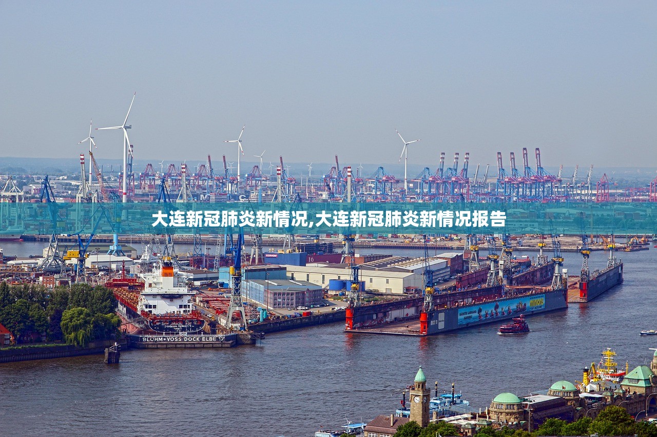 大连新冠肺炎新情况,大连新冠肺炎新情况报告