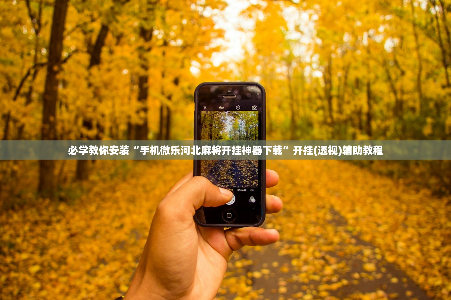 必学教你安装“手机微乐河北麻将开挂神器下载”开挂(透视)辅助教程