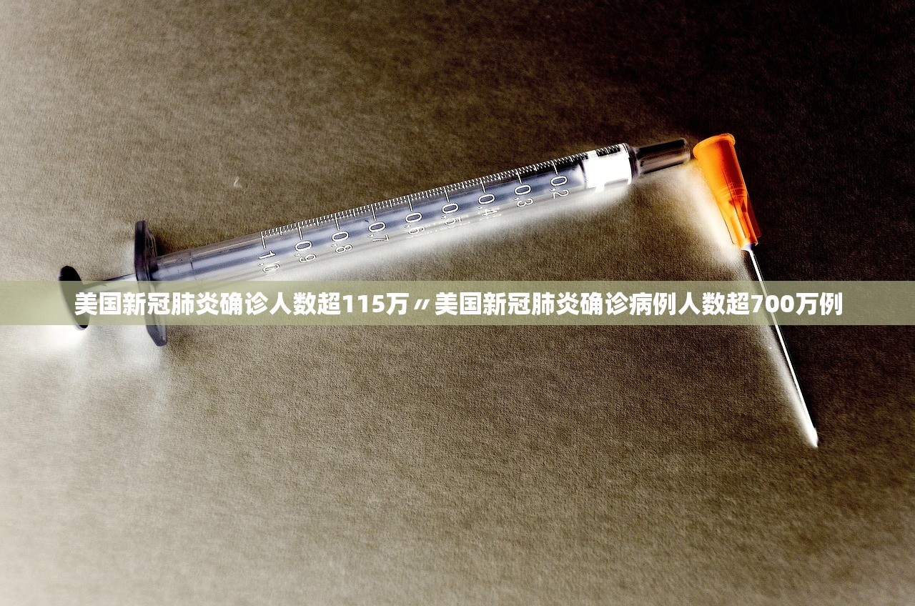 美国新冠肺炎确诊人数超115万〃美国新冠肺炎确诊病例人数超700万例