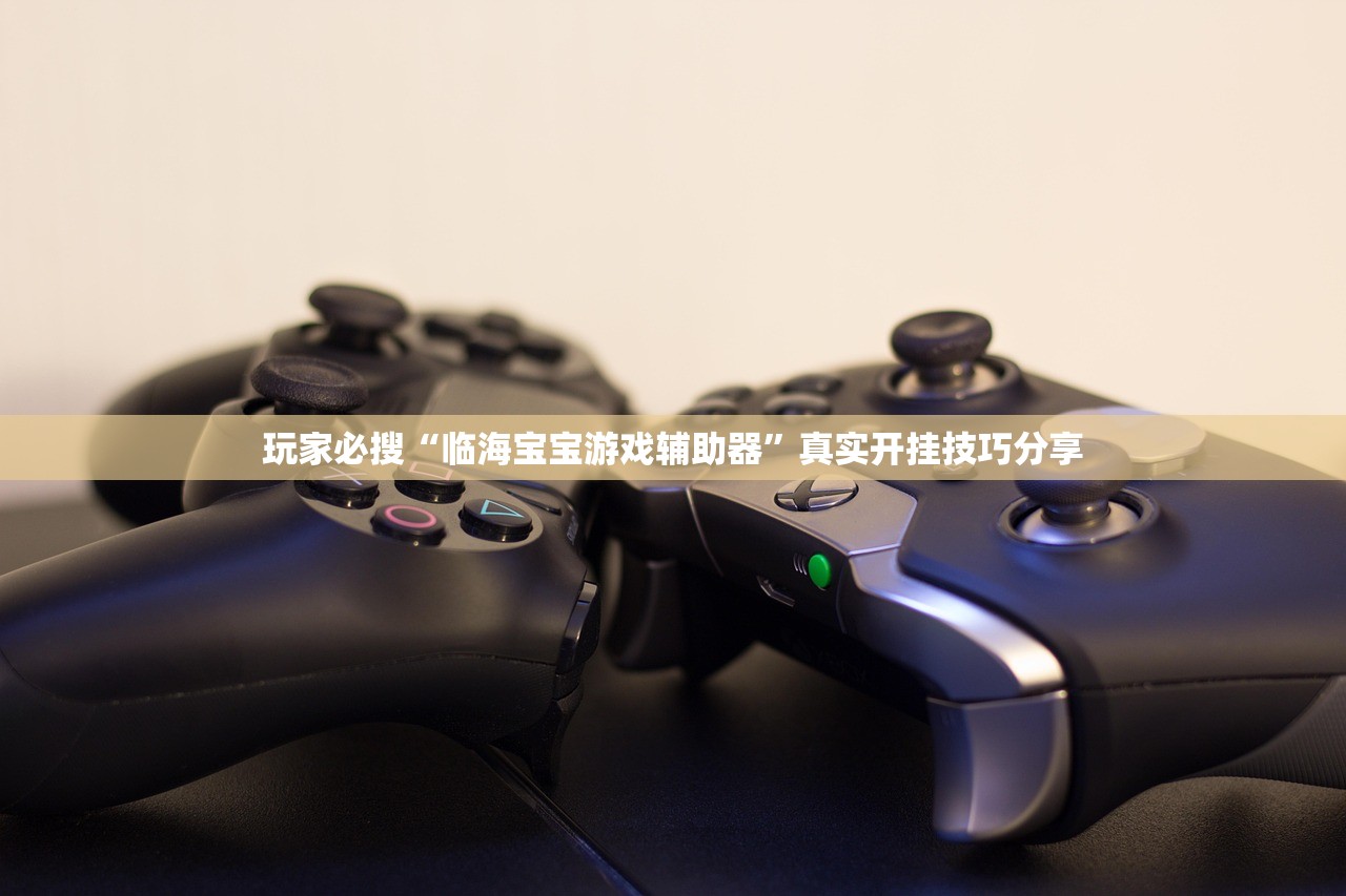 玩家必搜“临海宝宝游戏辅助器	”真实开挂技巧分享