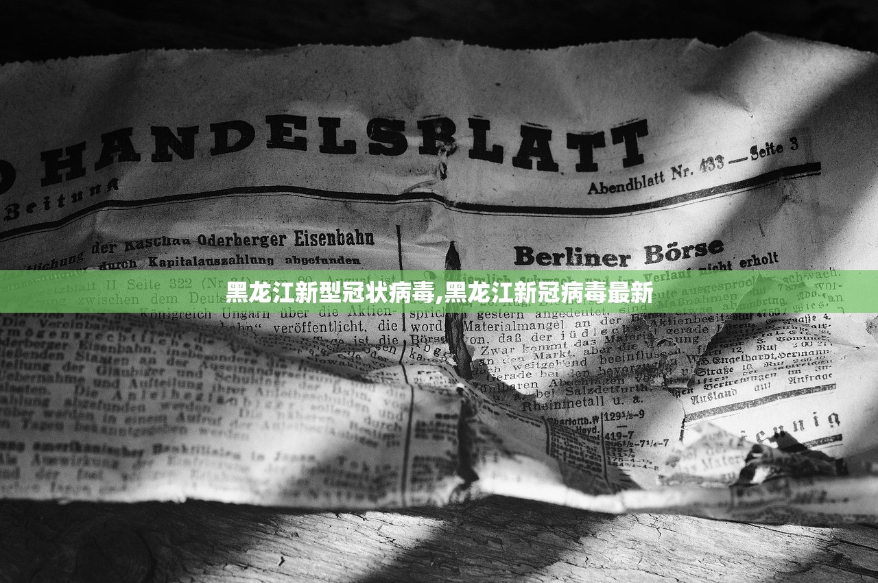 黑龙江新型冠状病毒,黑龙江新冠病毒最新