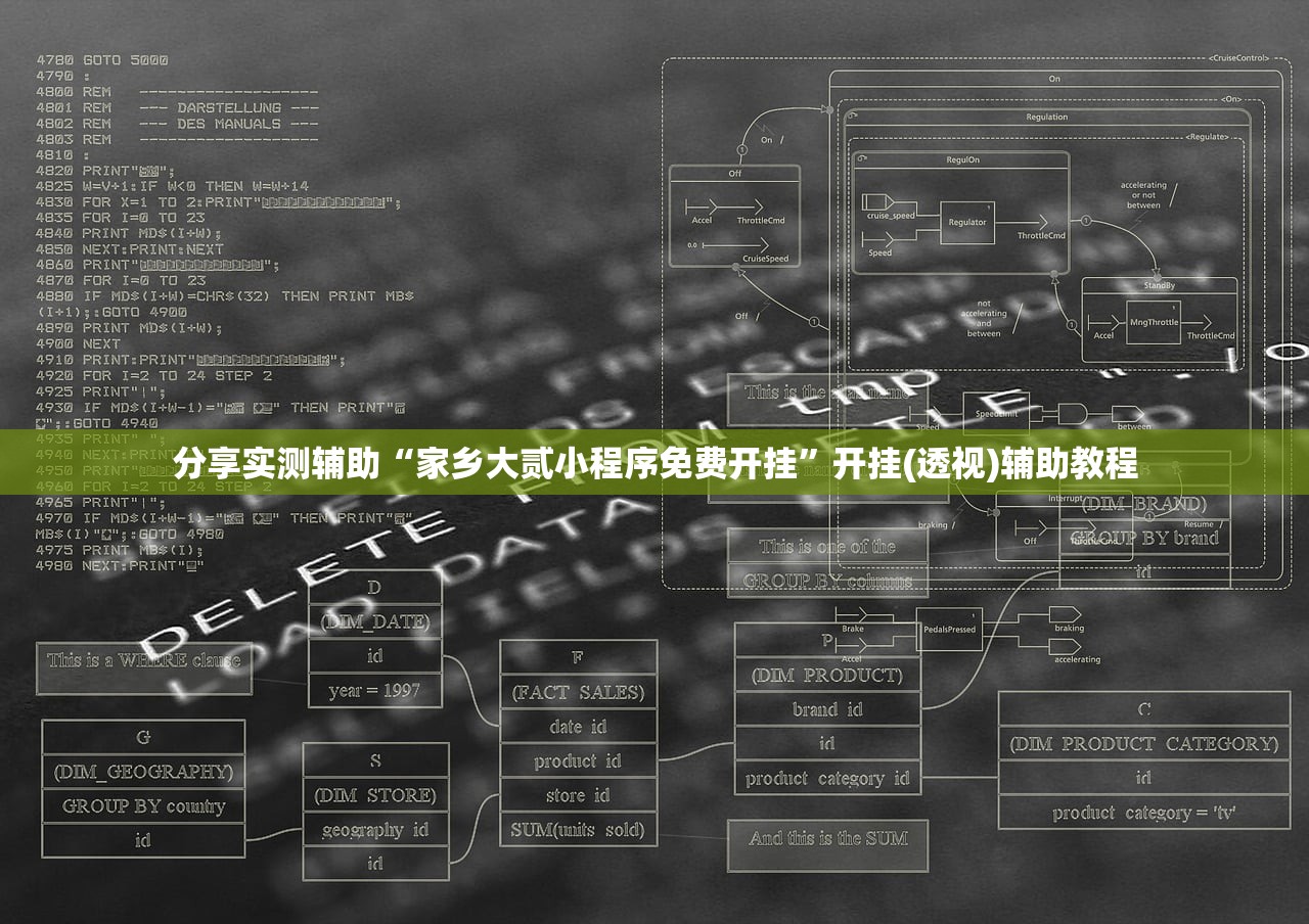 分享实测辅助“家乡大贰小程序免费开挂”开挂(透视)辅助教程