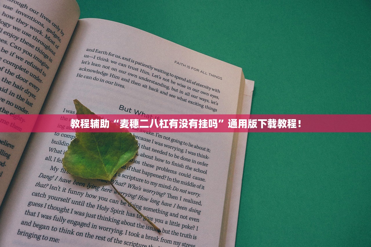 教程辅助“麦穗二八杠有没有挂吗”通用版下载教程！